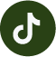 icon-TikTok